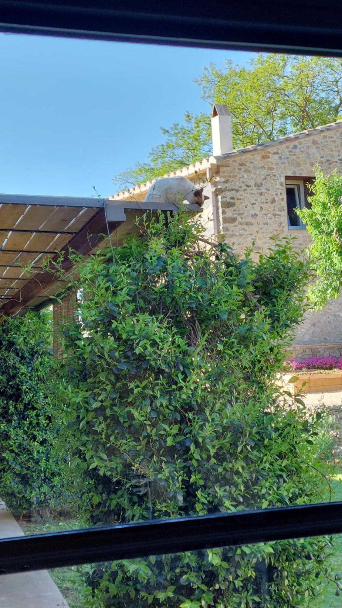 Mas Ferran Adults Only Bed and Breakfast Pals Εξωτερικό φωτογραφία